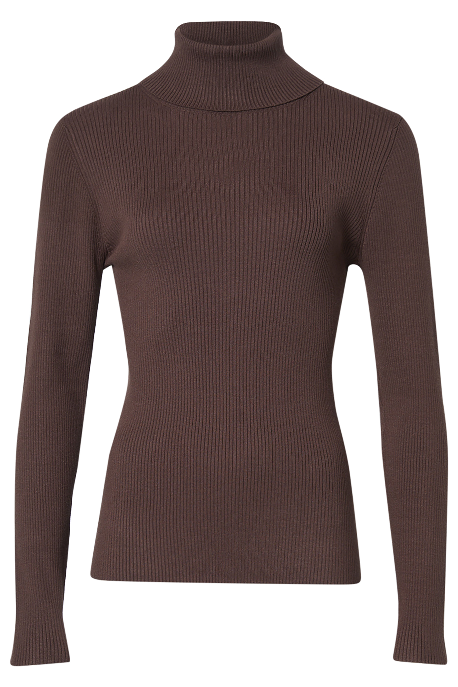 Fitted Turtleneck Sweater