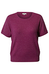 Short Sleeve Knit Top